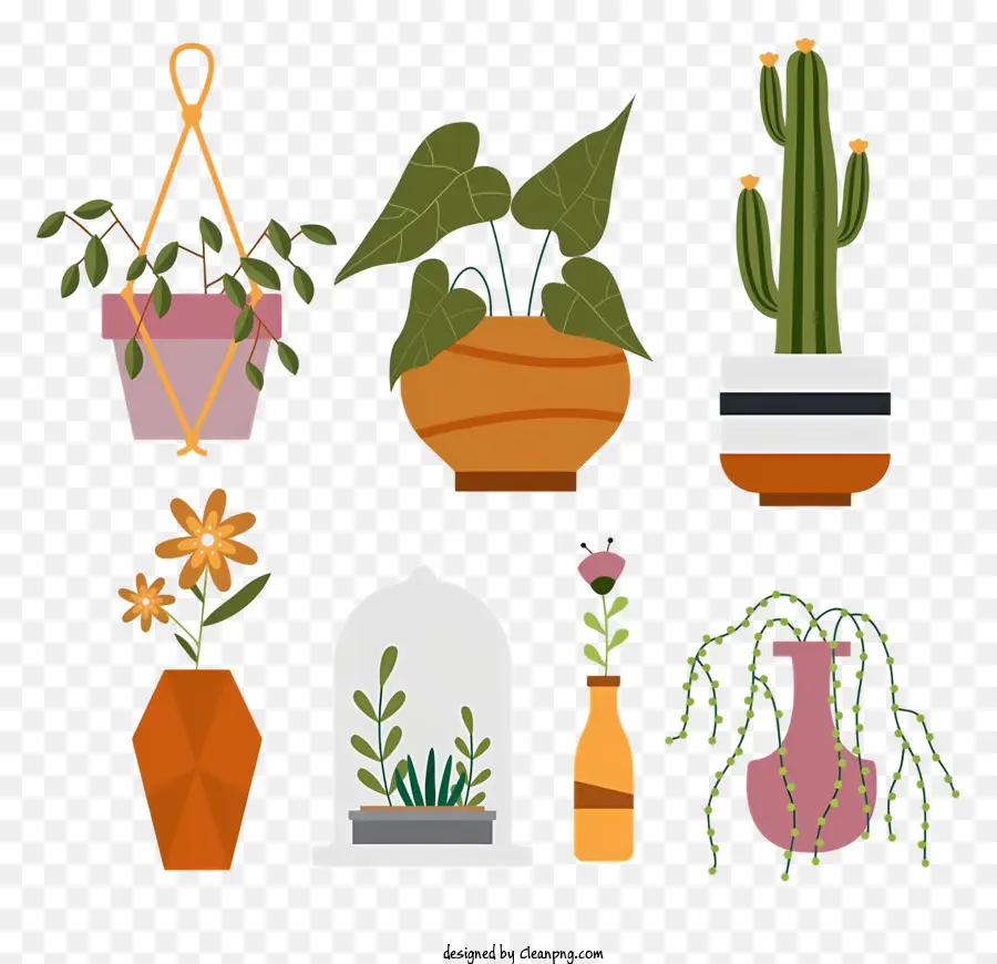 горшечные растения，растения в разных размерах PNG