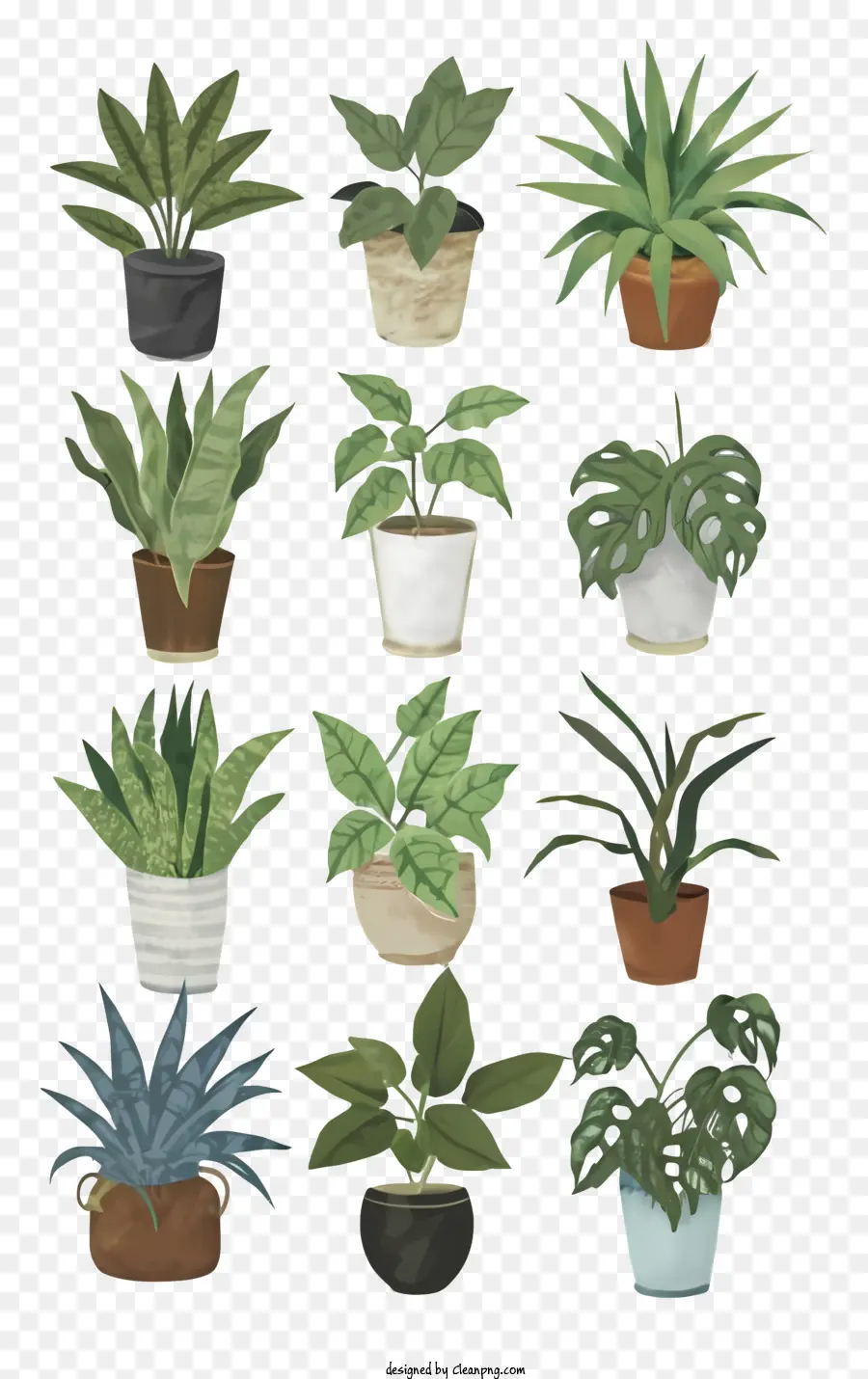 горшечные растения，Различные виды растений PNG