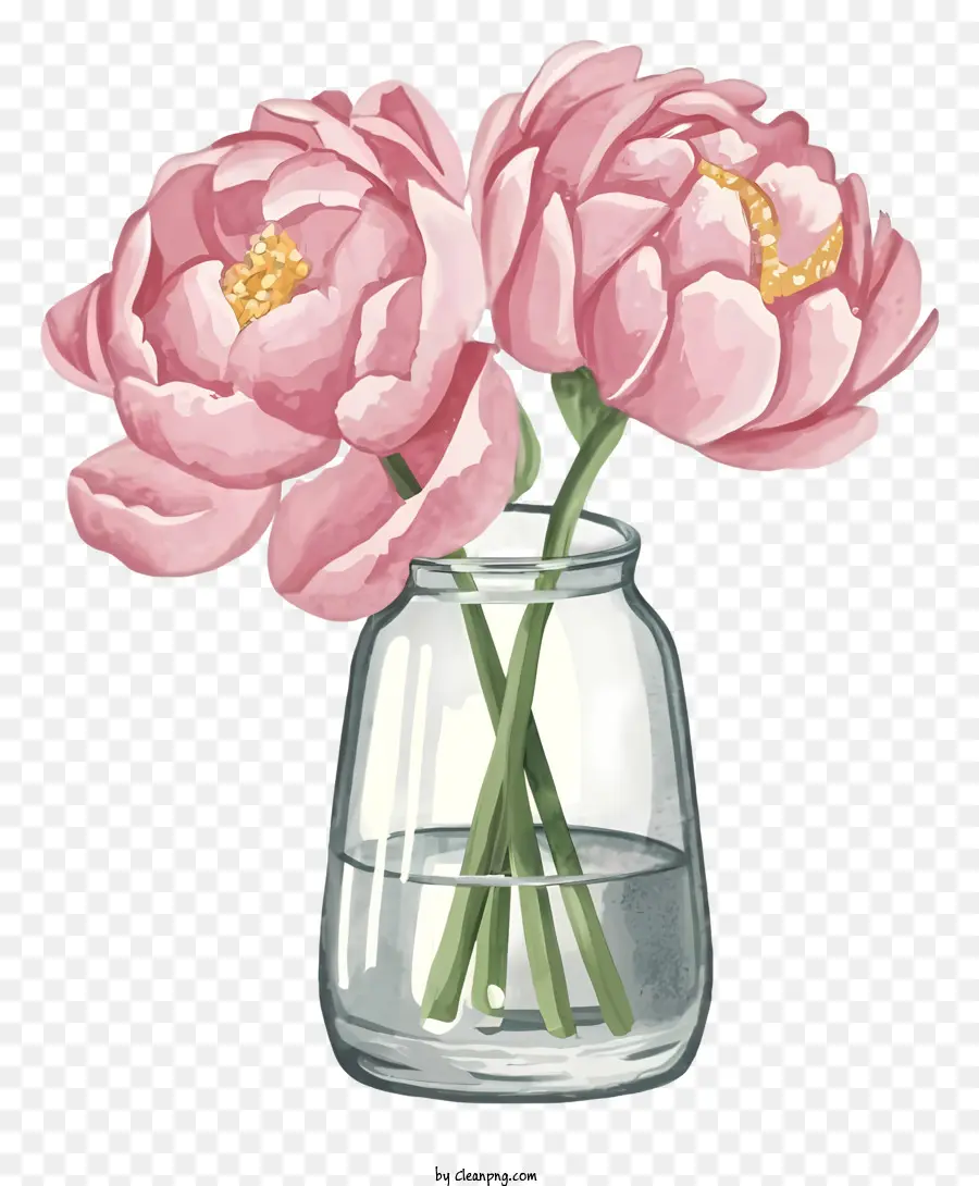 прозрачная стеклянная ваза，розовые пионы PNG