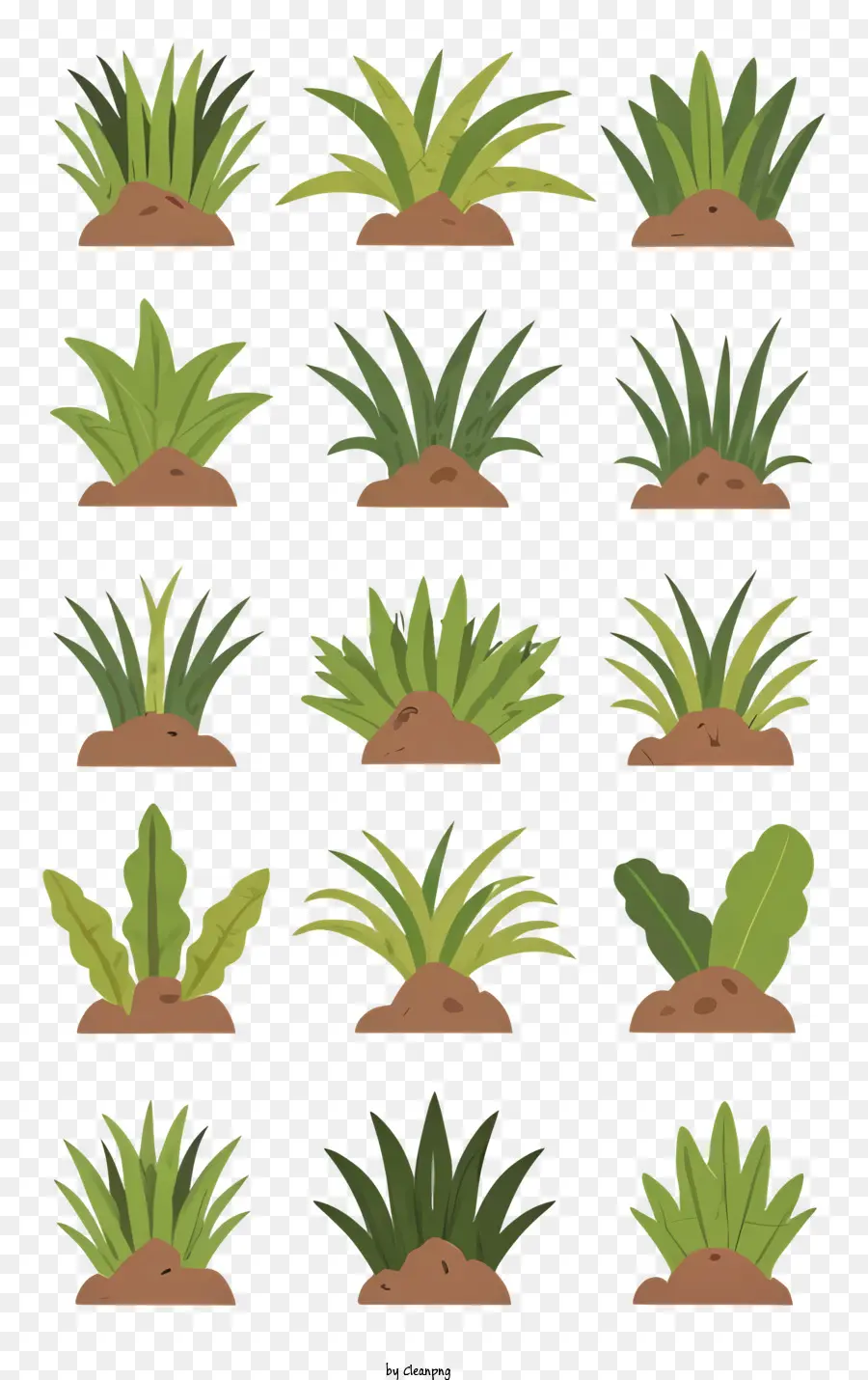 плоская иллюстрация，растения PNG