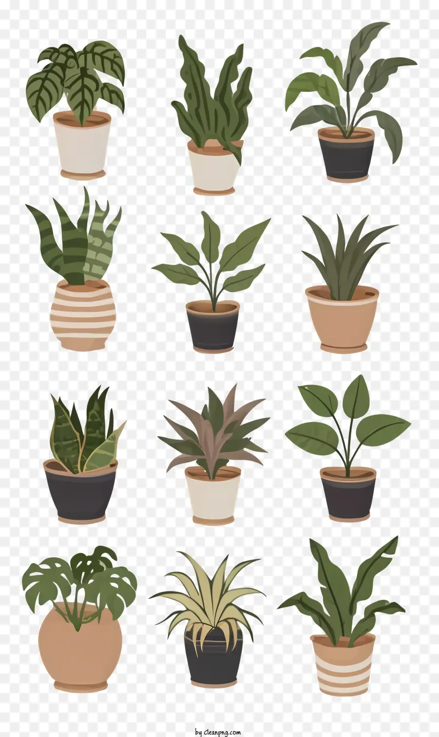 растения в горшках，разные виды растений PNG