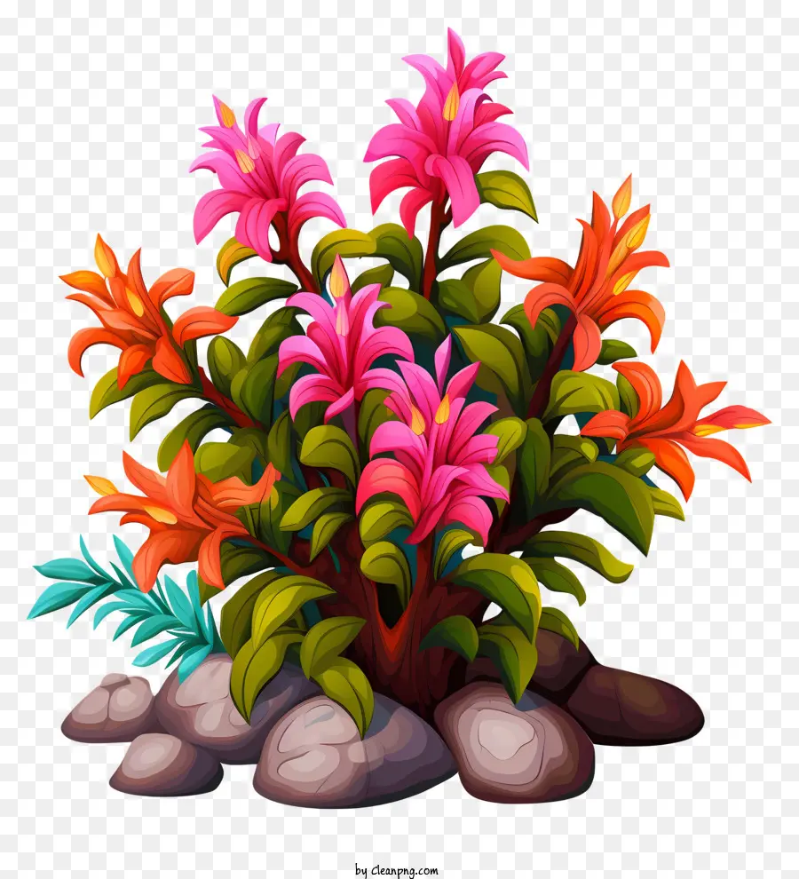 тропические растения，красочные растения PNG