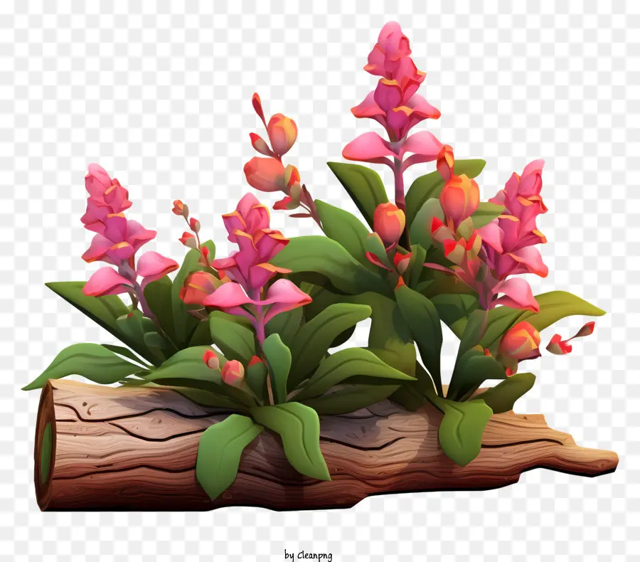 розовый цветок，деревянные срубы PNG