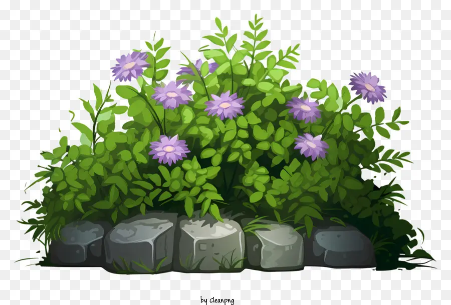 фиолетовые цветы，посадить с пурпурными цветами PNG