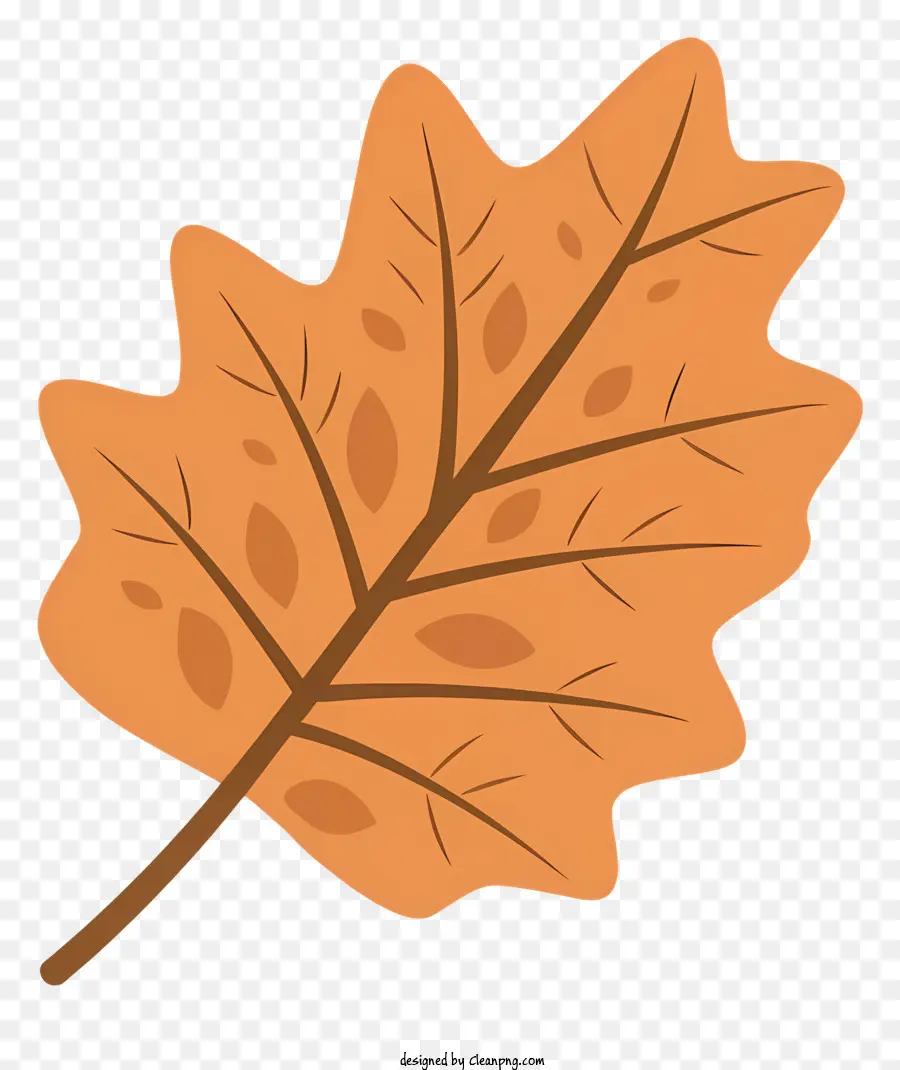 кленовый лист，оранжевый лист PNG