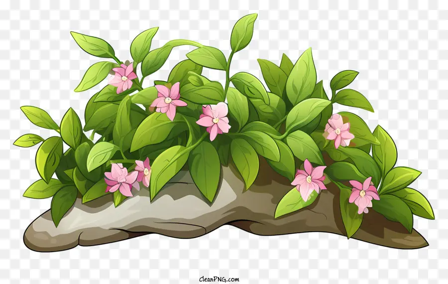 зеленые и розовые цветы，Рок с листьями PNG