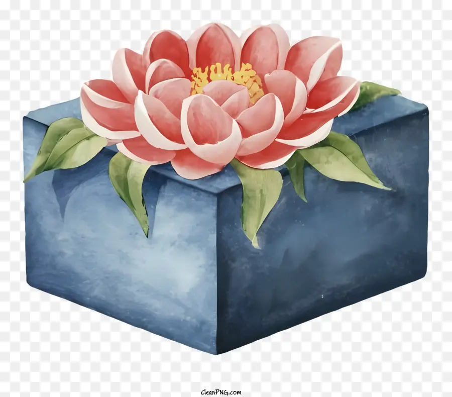 акварельная живопись，Розовый цветок лотоса PNG