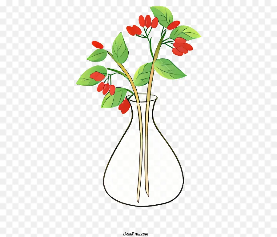 чистая ваза，Красная ягода PNG