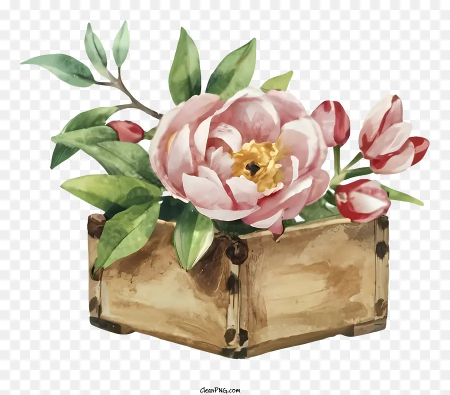 розовые пионы，Деревянная коробка ваза PNG