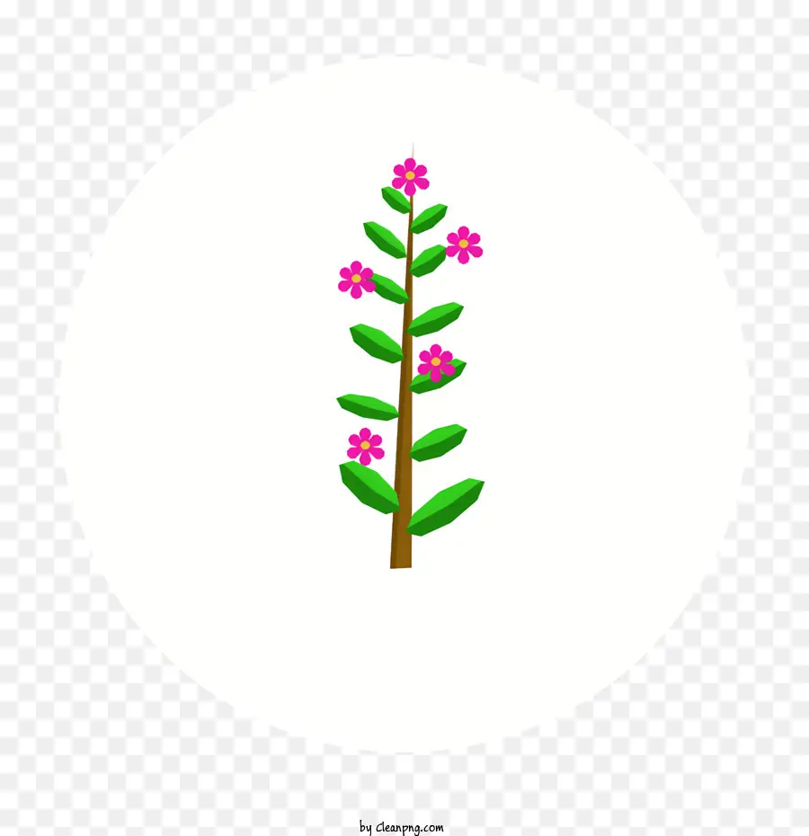 горшечные растения，Розовые цветы PNG
