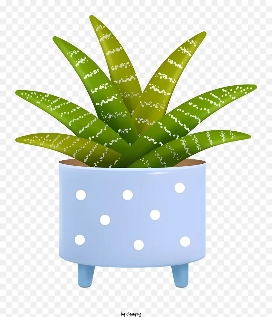 Aloe Vera Plant，Растительная банка PNG