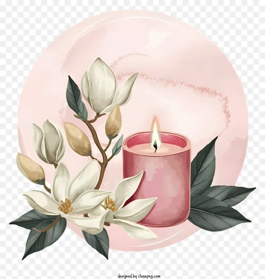 Розовая Свеча，белые цветы PNG
