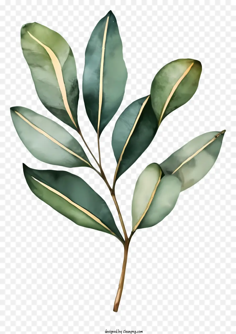 зеленые листья，Листовая ветка PNG