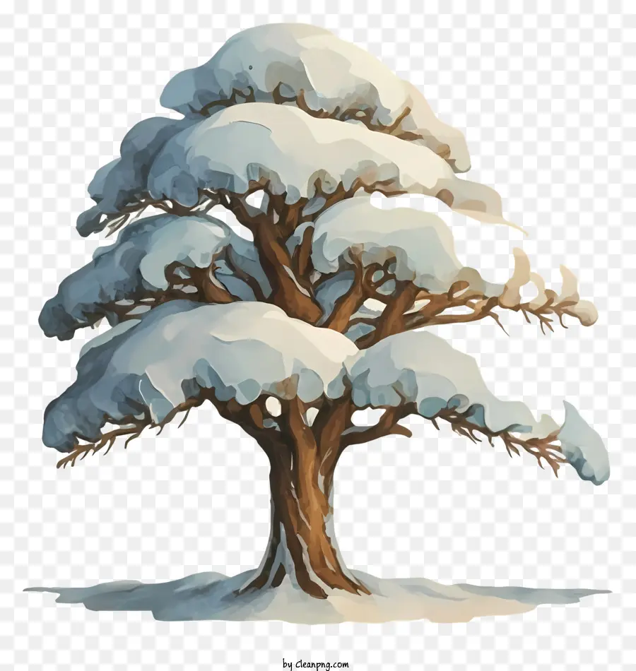 заснеженного дерева，Зимний шторм PNG