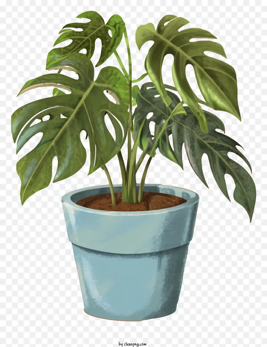 Большое синее растение，зеленые листья PNG