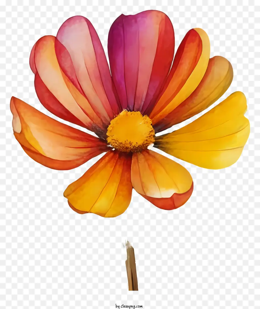 цветок живопись，акварель искусство PNG