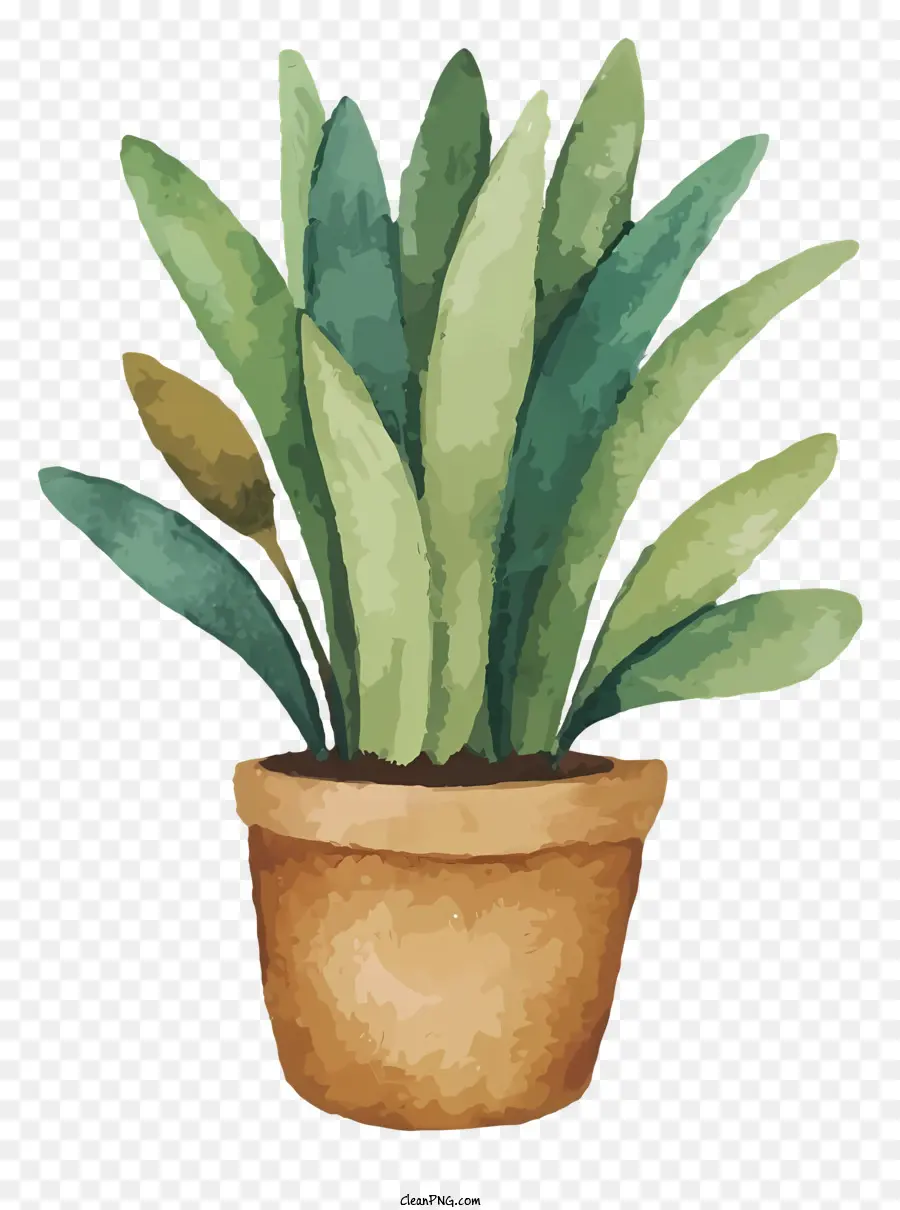 зеленые растения，симметричный рисунок PNG