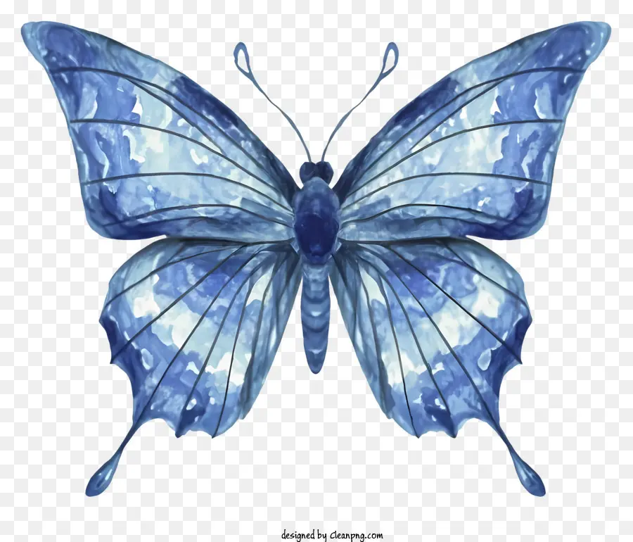 акварельная живопись，голубая бабочка PNG