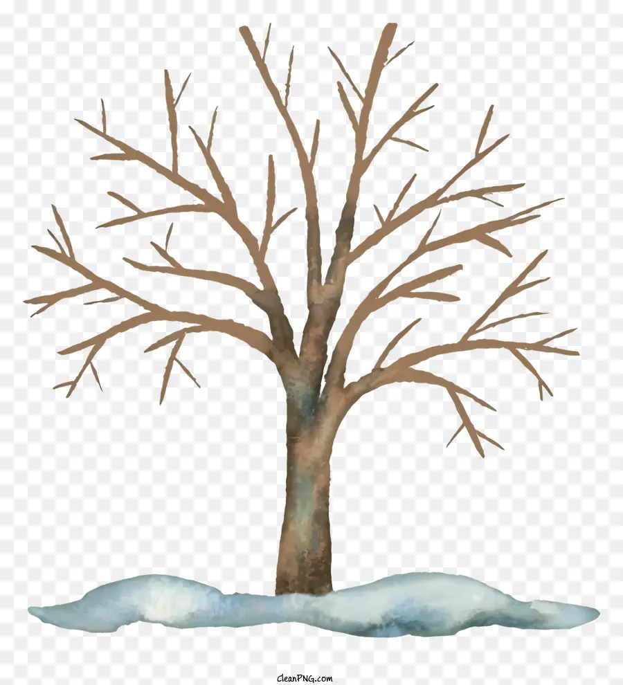 голые дерево，зимний пейзаж PNG