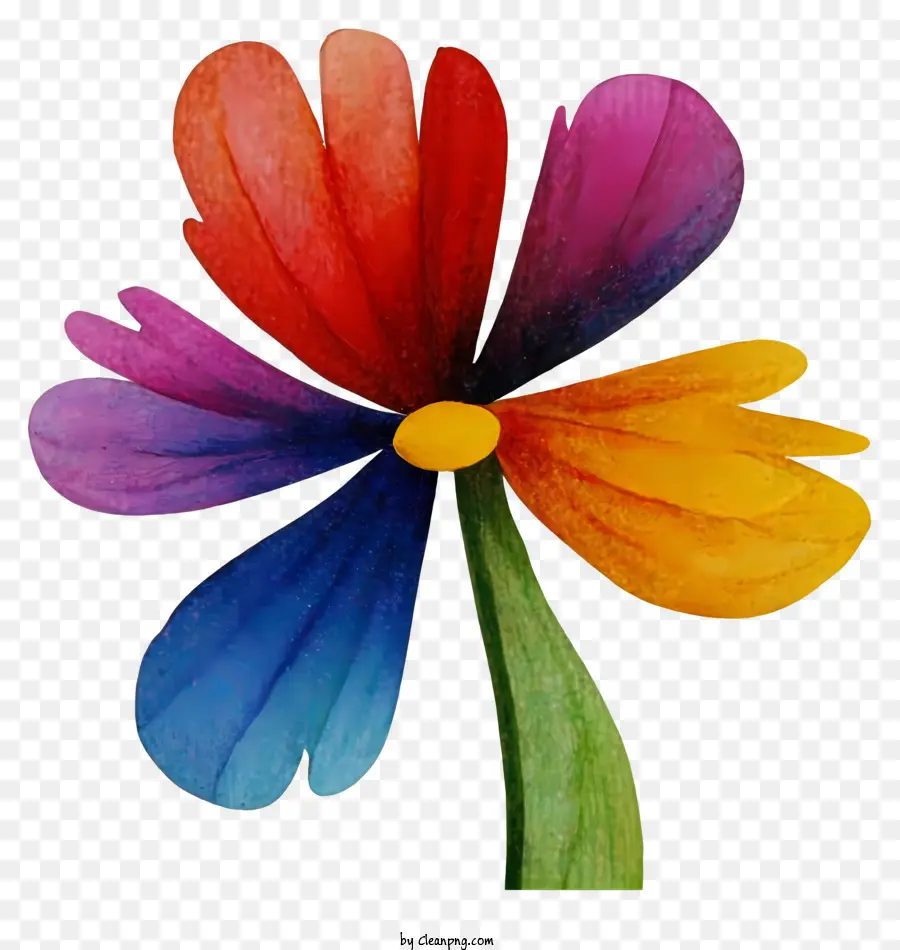 красочный цветок，Цветок руки PNG