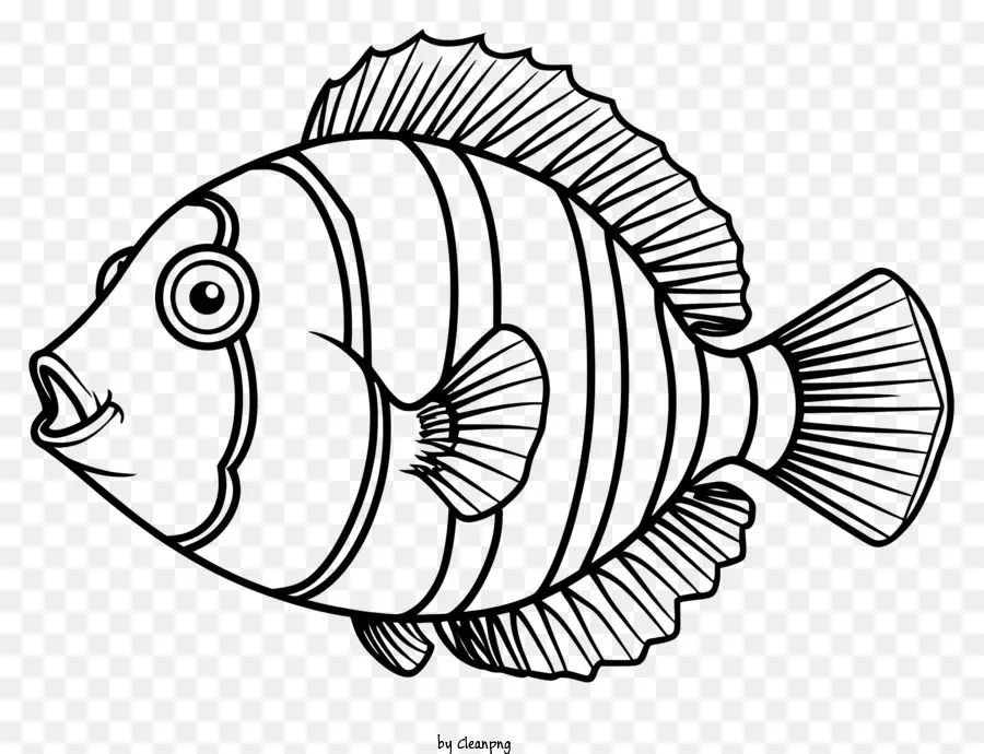 Рыбы，черно белая рыба PNG