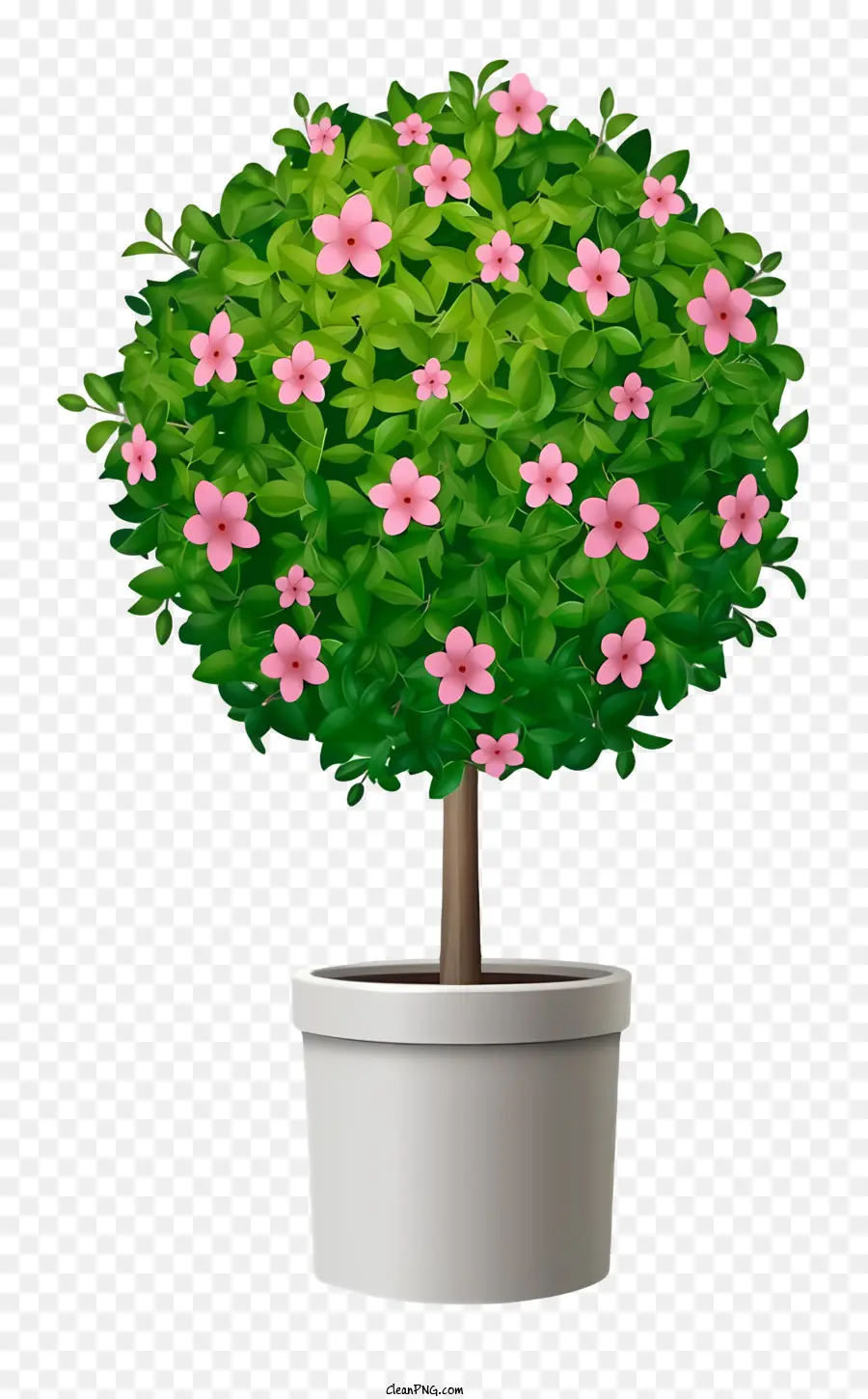 маленькое горшечное дерево，Розовые цветы PNG