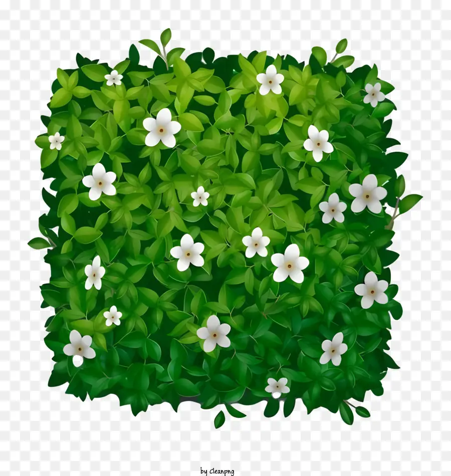 зеленый и белый букет，цветы PNG
