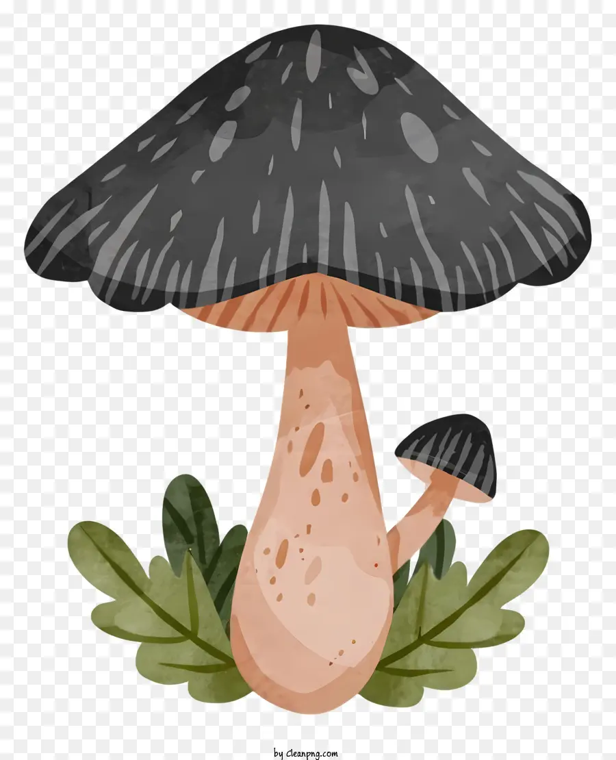 Toadstool Mushroom，акварельная живопись PNG