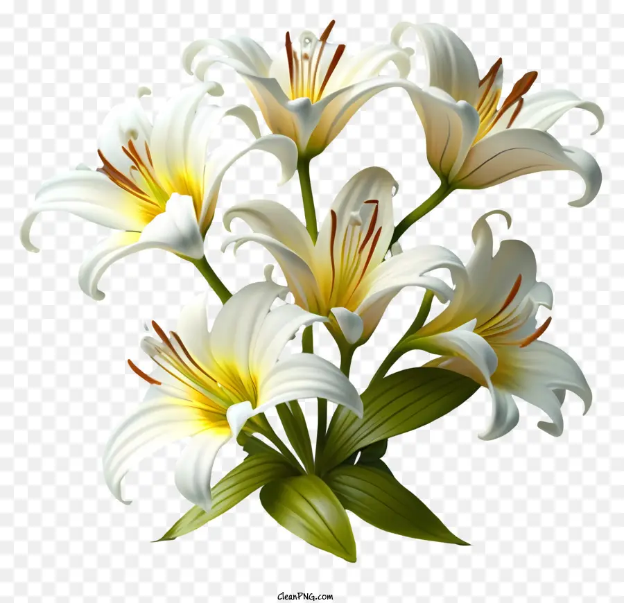 белые лилии，букет PNG