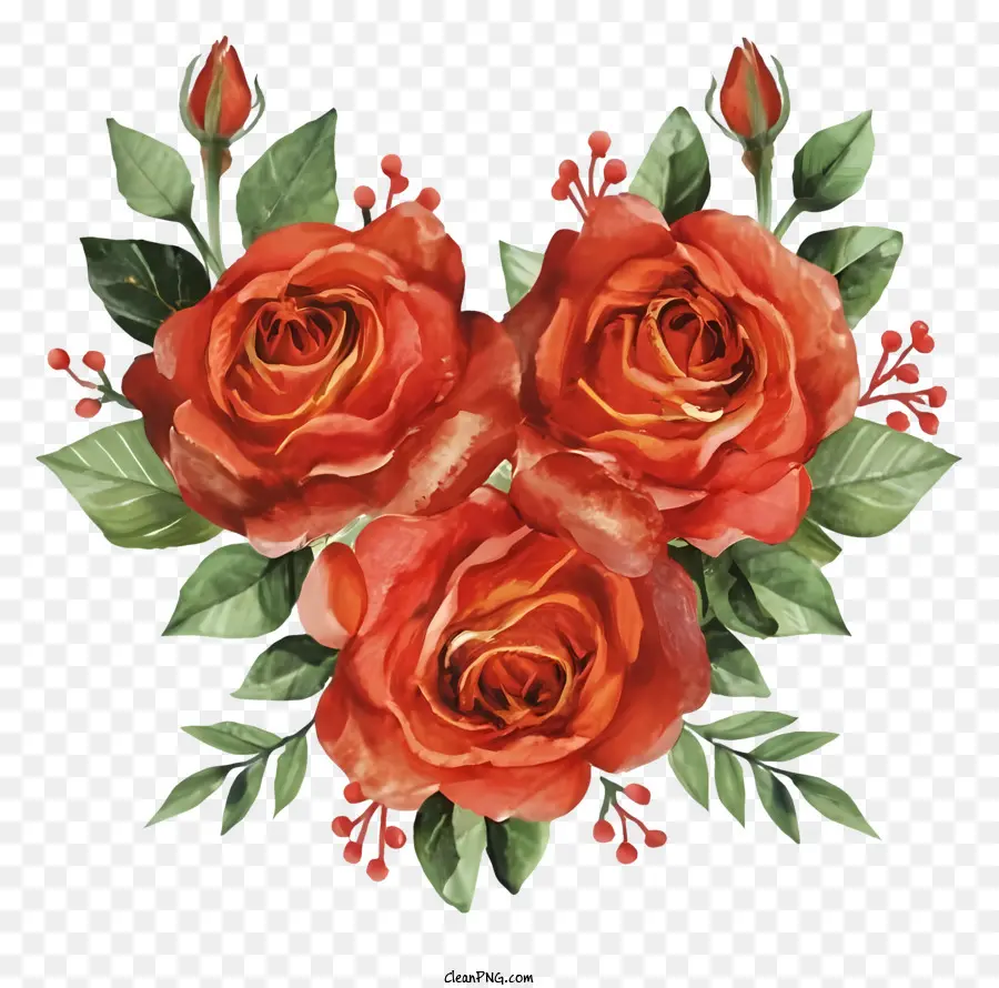 Красные Розы，Круговая расположение PNG