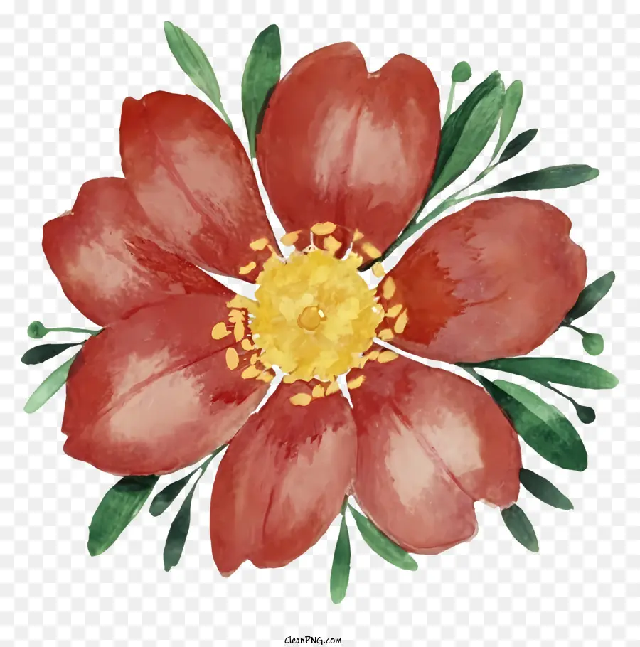 акварельная живопись，красный цветок PNG