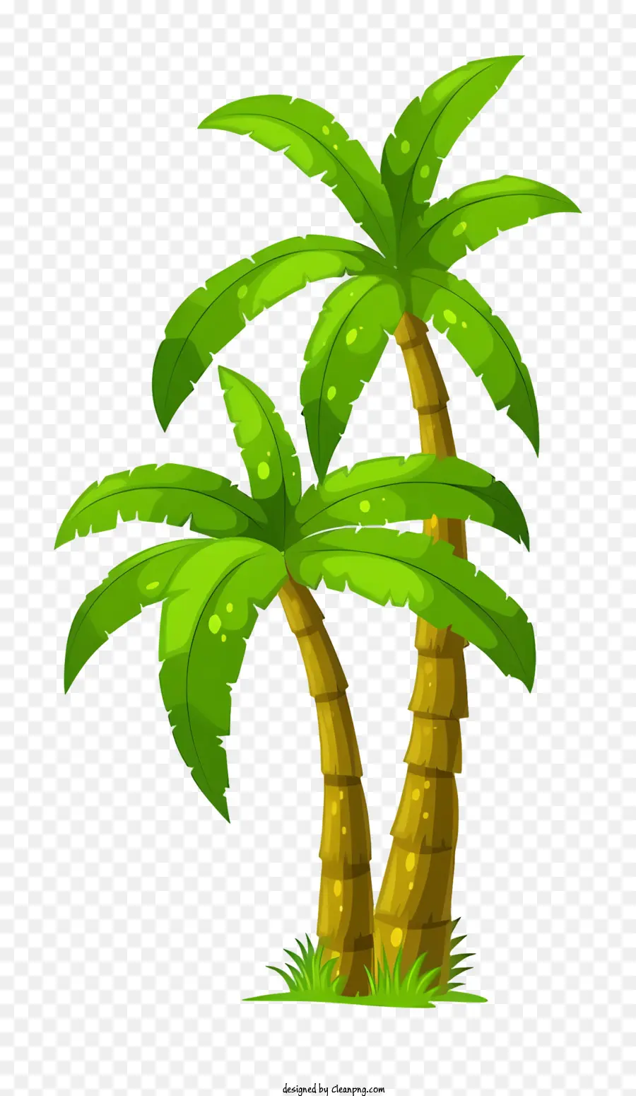 пальмы，тропический пейзаж PNG
