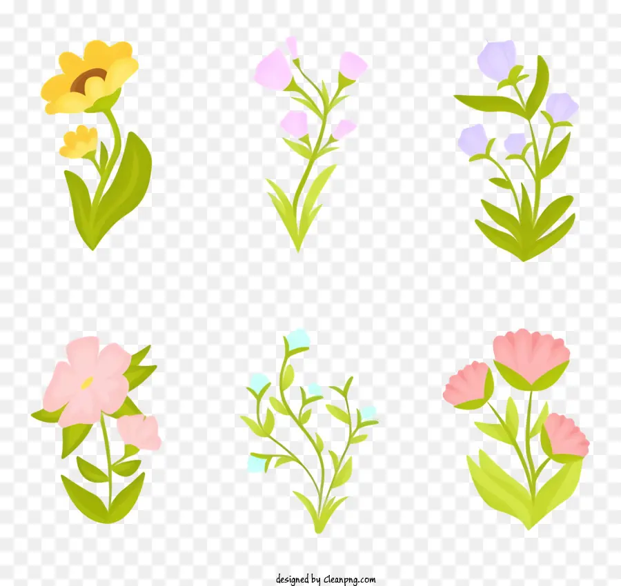 цветы，цветочная композиция PNG