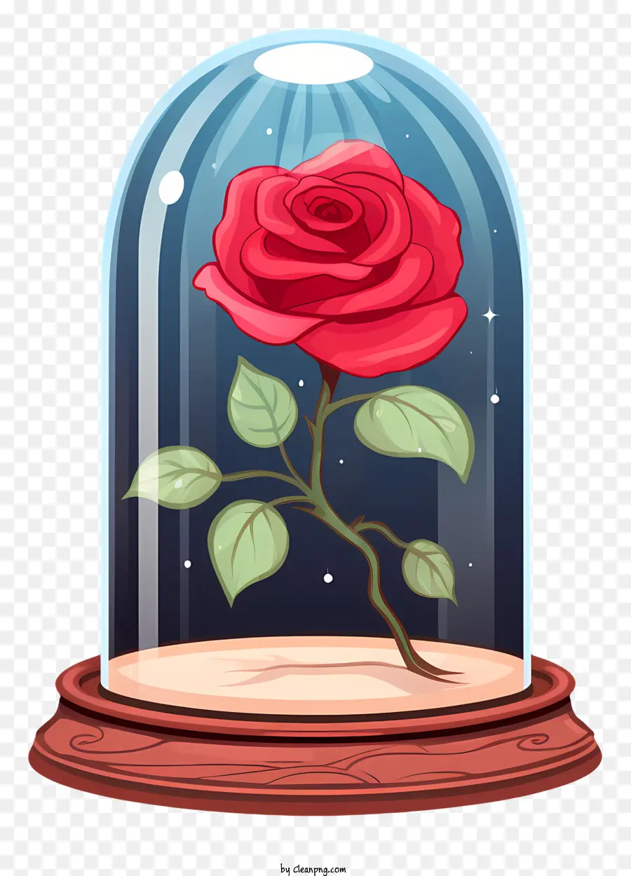 Роза，стеклянный купол PNG