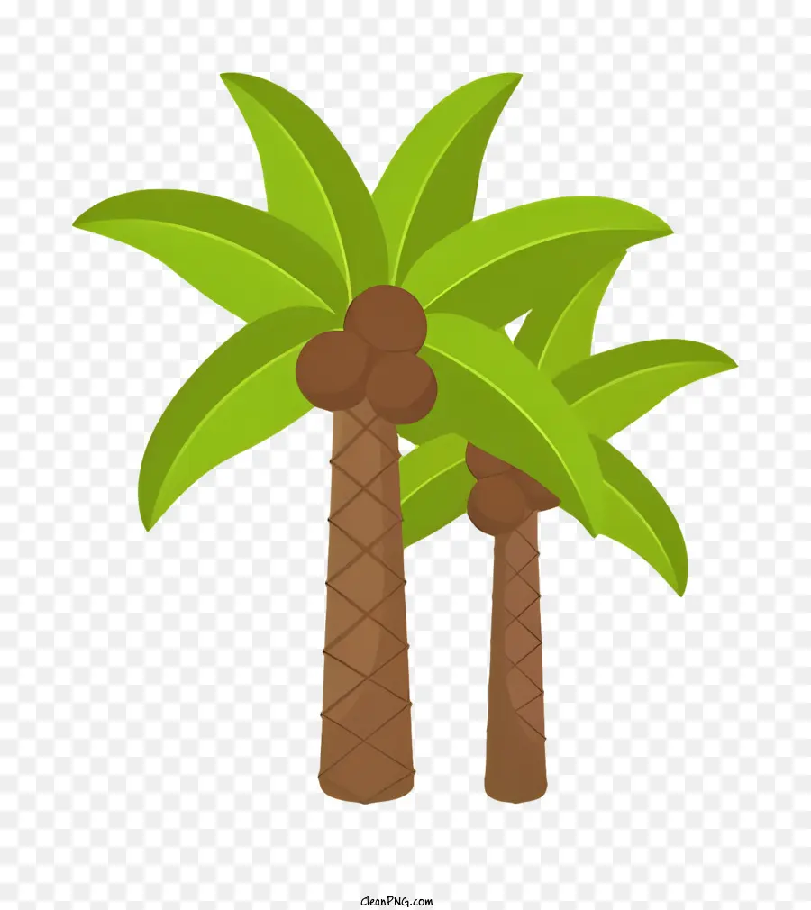 пальмы，корни PNG