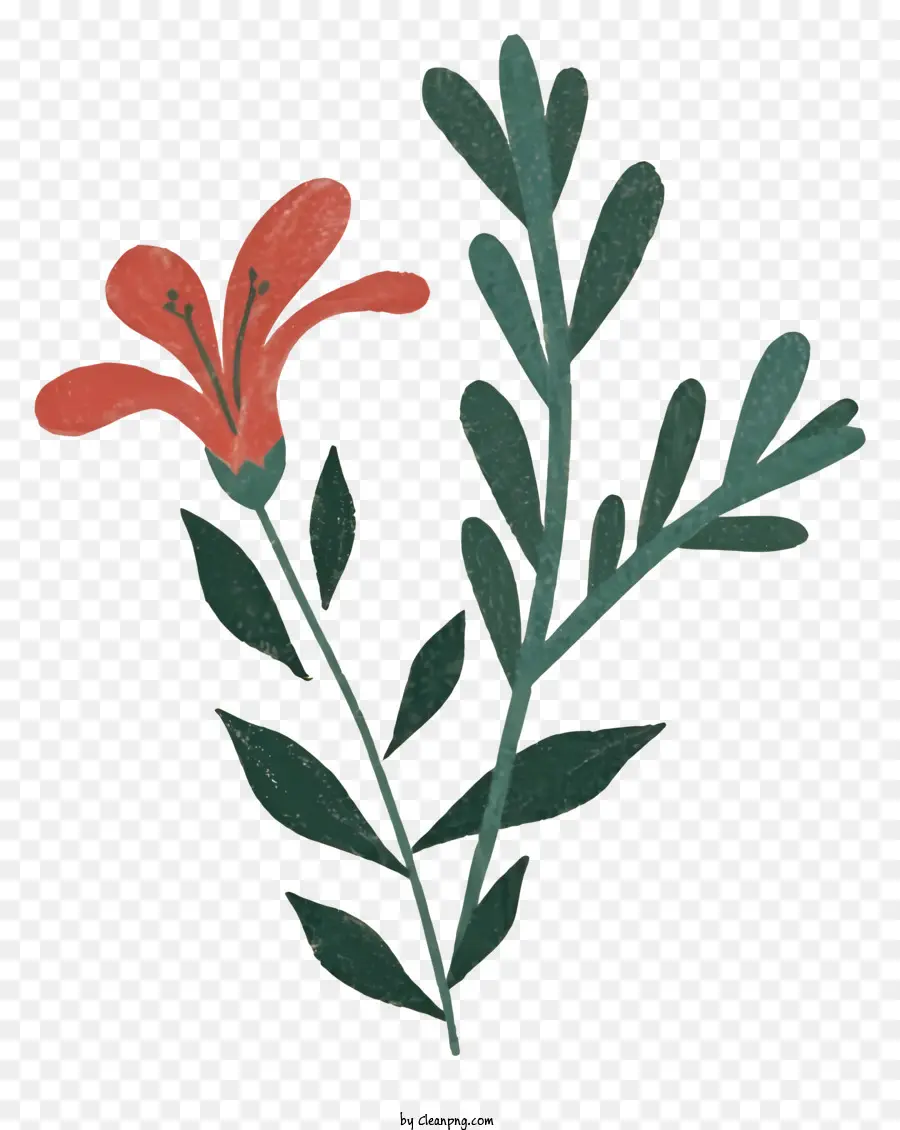 красный цветок，зеленые листья PNG