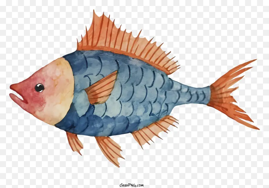 голубая и оранжевая рыба，Спинной плавник PNG