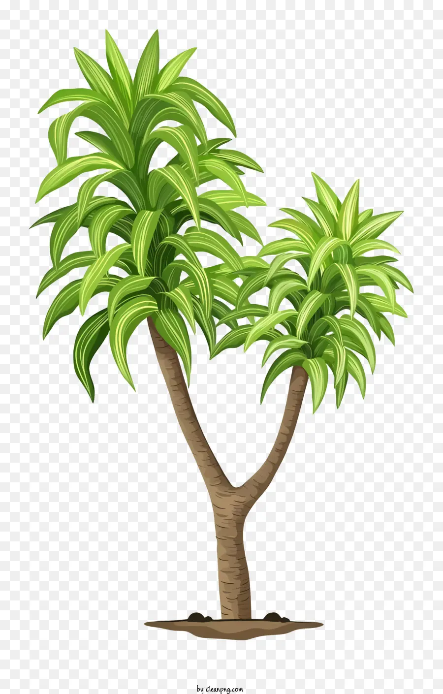 небольшое дерево，зеленое дерево PNG