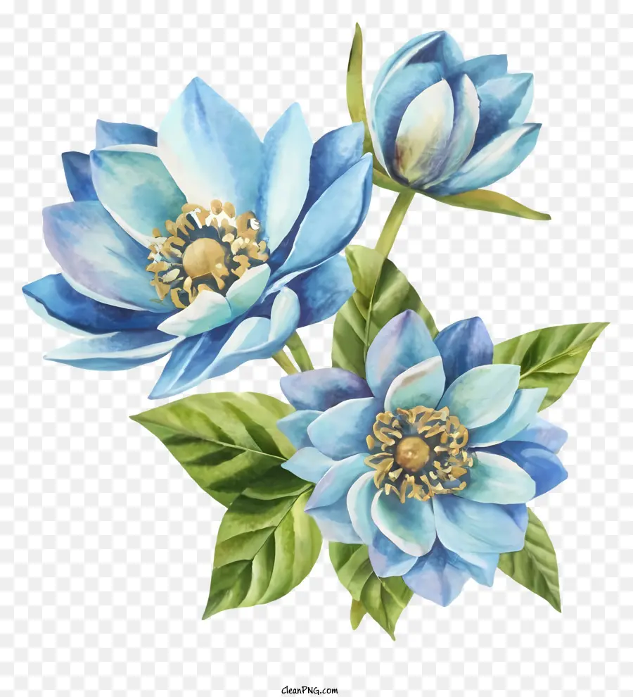 акварельные иллюстрации，синие цветы PNG