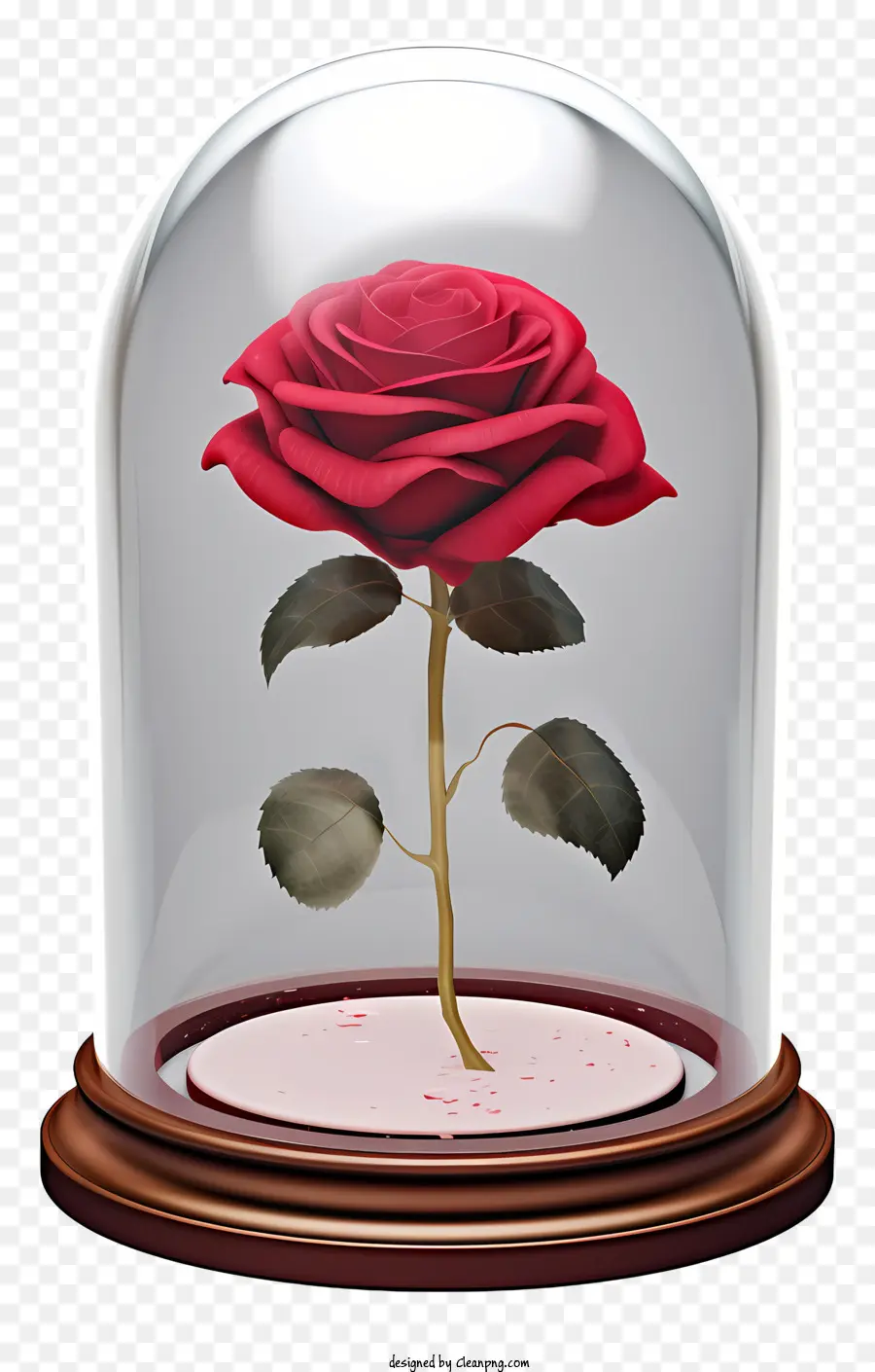 красная роза，Стеклянный колокольчик PNG