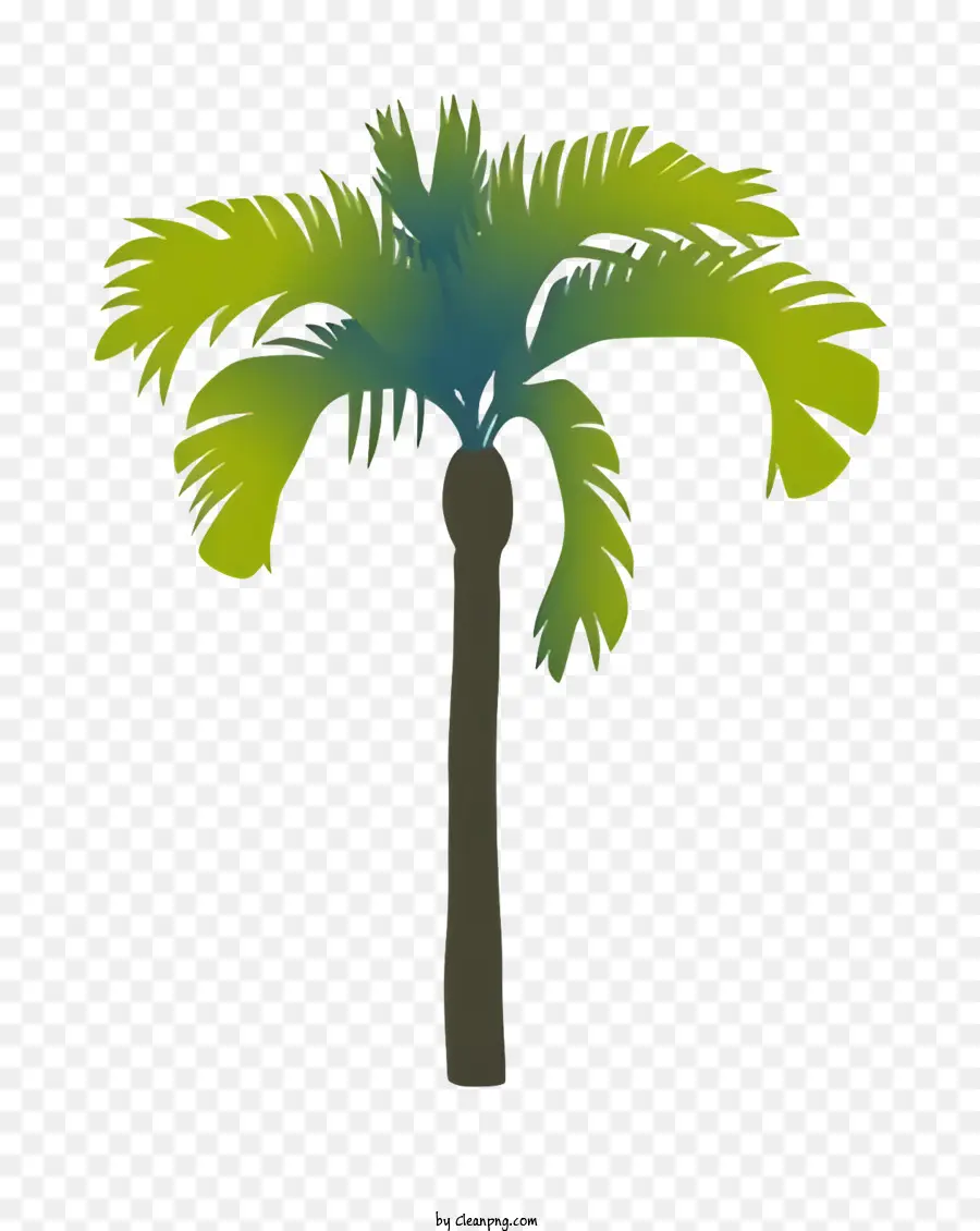 пальму，Зеленая пальма PNG