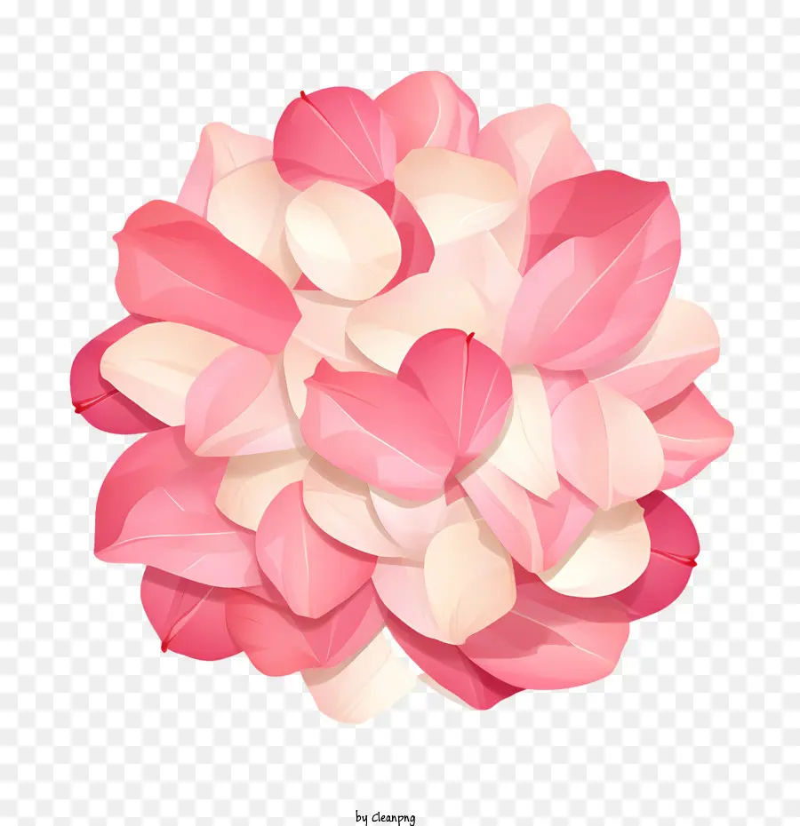 лепестки роз，цветок PNG