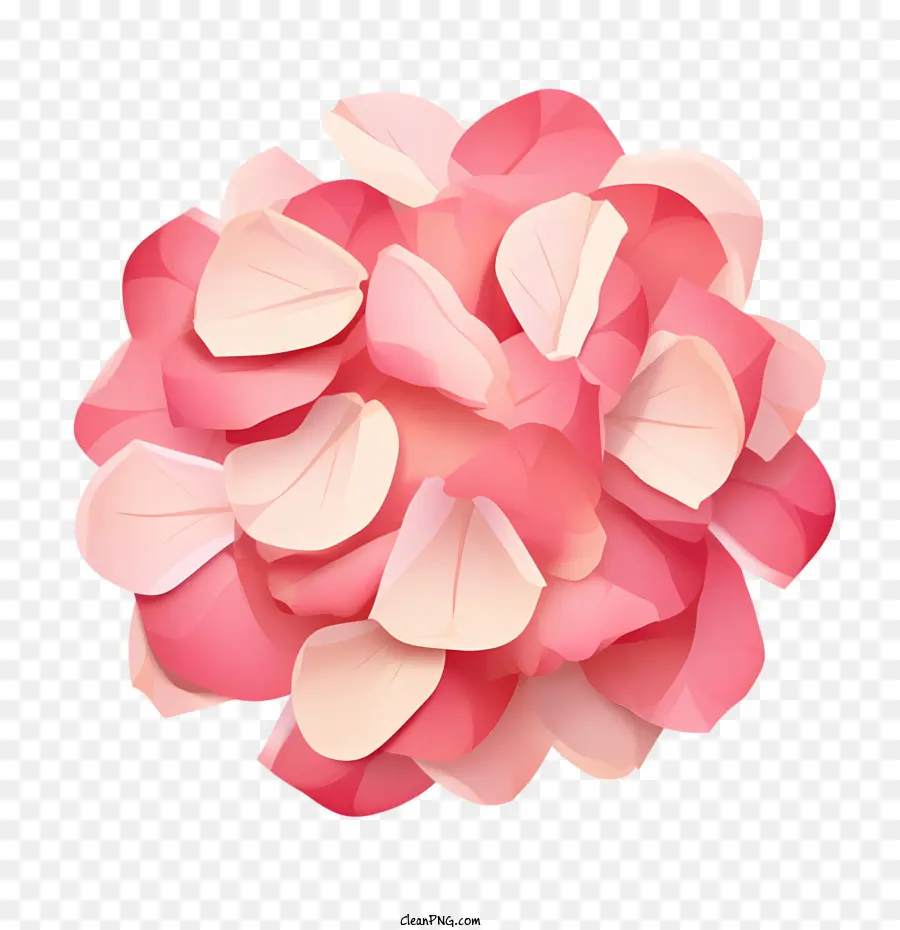 лепестки роз，цветок PNG