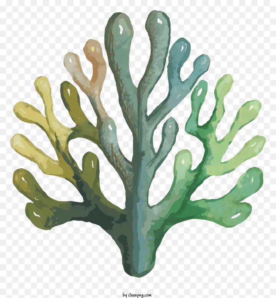 коралловое дерево，ветви деревьев PNG