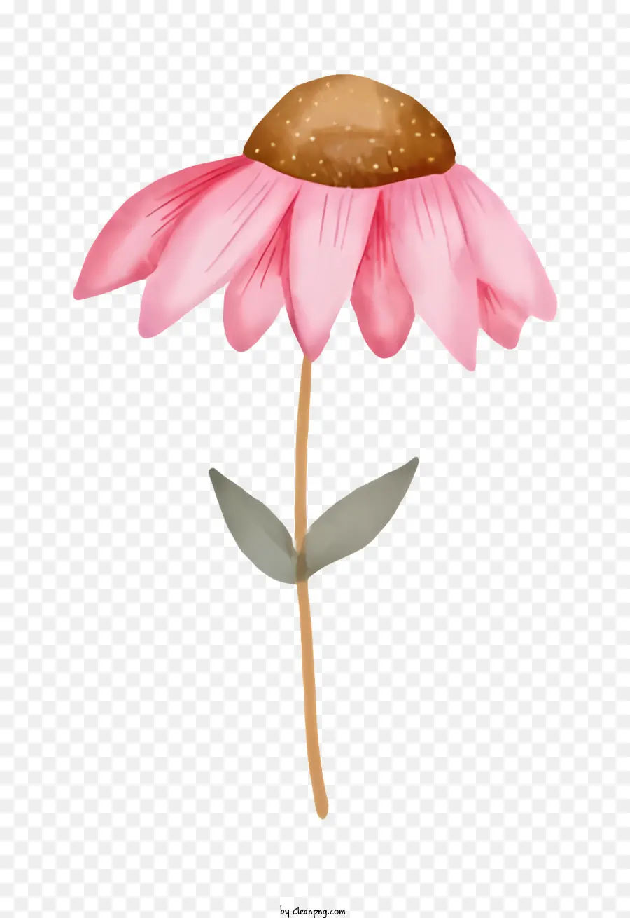 розовый цветок，коричневый стебель PNG