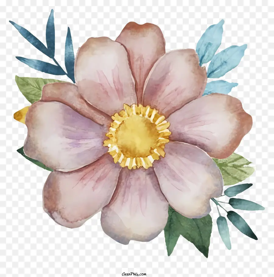 акварельная живопись，розовый цветок PNG