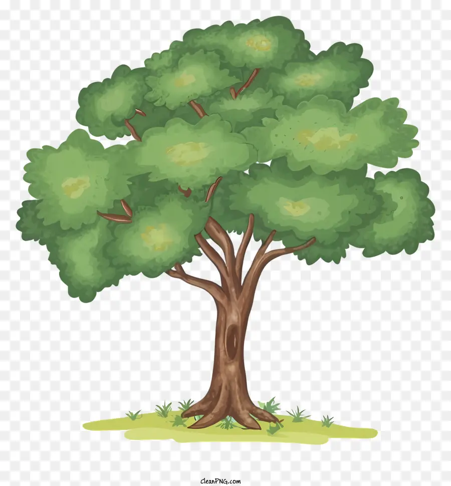 Дерево，природа PNG
