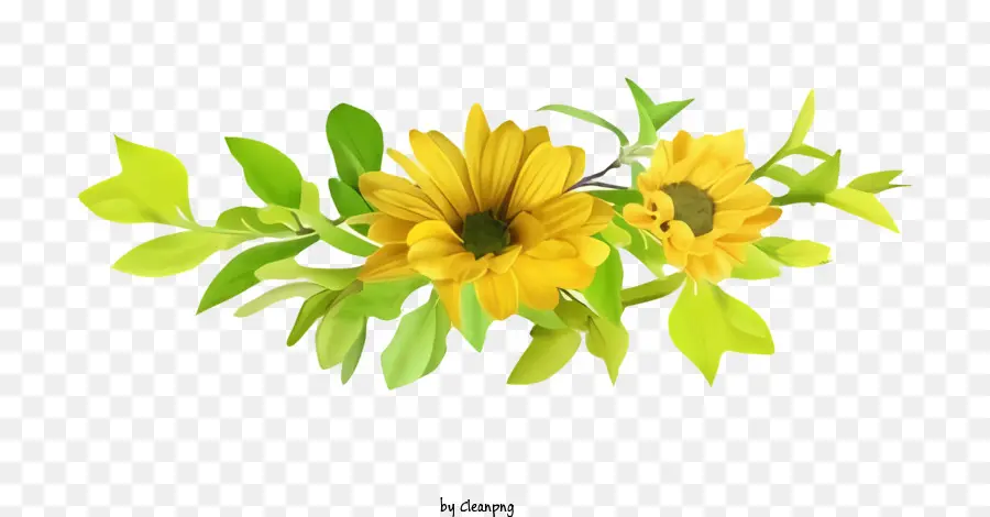 цветок фотографии，желтый цветок PNG