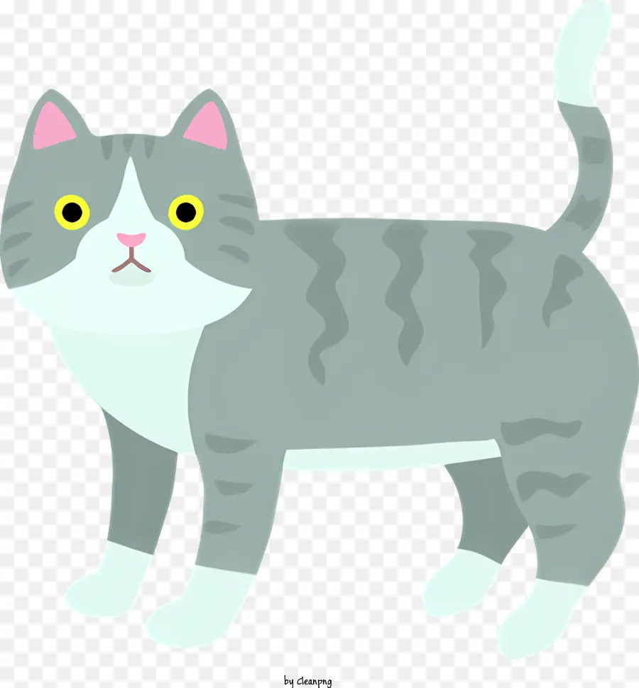 серый и белый полосатый кот，любопытное выражение PNG