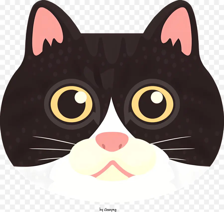 кошка，лицо PNG